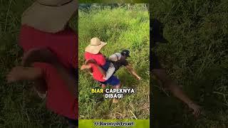 KERJA SERIUS atau NGAKAK? Liat Sendiri Gaya Mereka #faktaunik  #faktamenarik