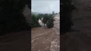 HEAVY RAIN CAUSE FLASH FLOODING#karjat #ytshorts #rain #badlapur #thane #mumbai