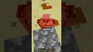 minecraft but my FPS drops what i take damage