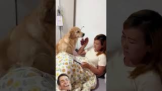 #ржач #смешновидео #pets #юмор #funny #приколы #смехпродлеваетжизнь #смешнойшортс