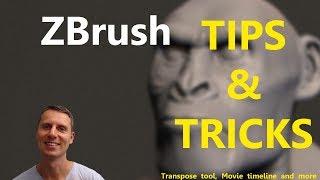 Zbrush Tips and Tricks: Transpose tool, Movie timeline and more