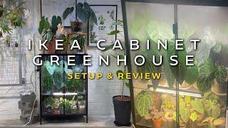 IKEA Greenhouse Cabinet RUDSTA Setup and Tips | Best Indoor Condition for Anthurium Plant