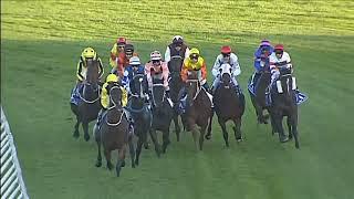 LEGENDARY BLACK CAVIAR WINS THE TJ SMITH STAKES IN HER LAST RACE EVER