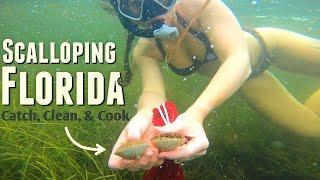 Scalloping Florida On a Gheenoe LT25 -  Catch, Clean, & Cook