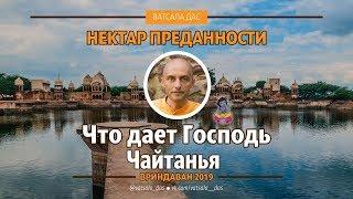 Что дает Господь Чайтанья? Ватсала дас