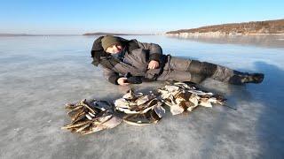 МОРСКАЯ РЫБАЛКА/ТАВРИЧАНКА/КАМБАЛА/НАВАГА/ЗИМНЯЯ РЫБАЛКА/ПРИМОРСКИЙ КРАЙ/2021/The Fish