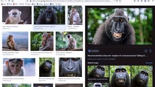 Google Advanced Image Search Function Tool - Size