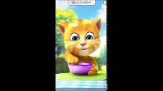 Игра Говорящий Кот Джинджер Talking Ginger 2