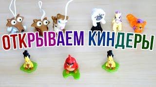 Киндеры Ледниковый период 5, Angry birds и Пушистые истории