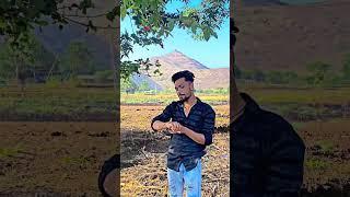Kon gavani say tu por Song | Krushna Gaikawad Status #trending