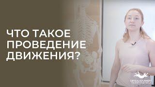 Что такое проведение движения?