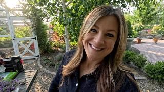 Removing a Wisteria, Planting Hydrangeas + More Full Sun Annuals Out in the Garden! ️