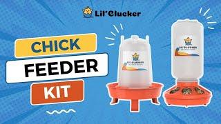 LIL'CLUCKER Chick Feeder & Waterer Kit, Fuss-Free Feeding (best for #poultry #backyardchickens)