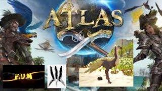 Atlas Ostrich tame on Official