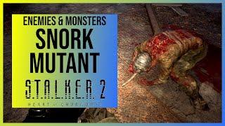 Stalker 2: Snork Mutant (Monster/Enemy Showcase)