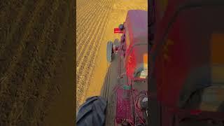 kisan ka chora like and subscribe // wait for end // #kisan #kisanputra #desichora