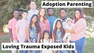 Adoption Parenting (LOVING TRAUMA EXPOSED CHILDREN)