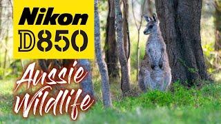 Nikon D850 Wildlife Photography | Tinchi Tamba Wetlands | Australia