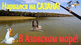 Нарвался на САЗАНА в Азовском море! Леска рвалась, удилища трещали! Ейский лиман. Ейск.