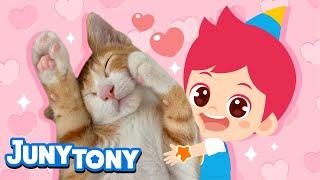  You Are the Cutest Thing! | A Song for My Pet | Animal Songs for Kids | JunyTony