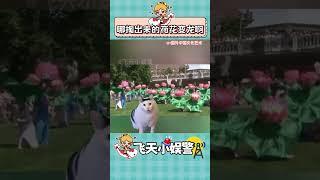 春晚怎么不給大家看這個？ #非遺 #長興百葉龍#傳統文化 #非遺文化