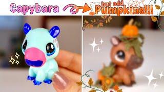 LPS Makeover #5  Capybara