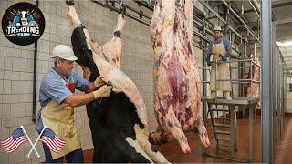 Horrible! Australian Farmers Slaughter 25.3 Million Cattle This Way #beef | Processing Factory
