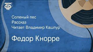 Федор Кнорре. Соленый пес. Рассказ. Читает Владимир Кашпур (1978)