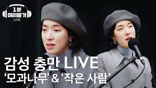 [1분 미리듣기] 요조의 신곡 '작은 사람' & '모과나무' 라이브!