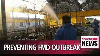 No new FMD cases in past week...  more preventive measures to stop spread of FMD