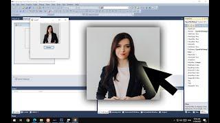 Display Image in Picture Box from files | VB.NET