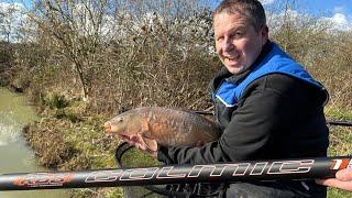 INCREDIBLE VALUE | Colmic S31 Pole Review