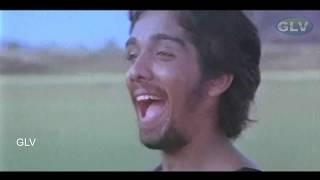 Aalolam Paadi Song | Avarampoo Movie Songs | Vineeth | Ilayaraja Full HD Video