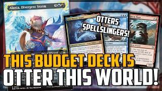 Bloomburrow Otter Spellslinger Budget Deck! Throw and Copy Spells! - Magic: The Gathering