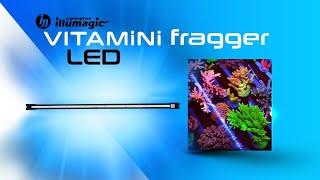 Vitamini LED review on SPS coral