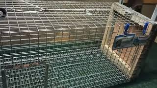 Ловушка сделанная под заказ для Павла Косюк г. Ровно, по размерам заказчика. Размер 100/33/30.