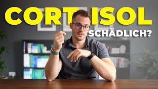 Cortisol - deswegen ist es WICHTIG für dich!