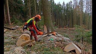 Timbersport man Jan Svoboda and Valmet 931 harvester