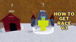 How To Get Race V3 in Blox Fruits | Arowe Quest | Second Sea