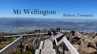 Mt Wellington, Hobart / Tasmania / Australia