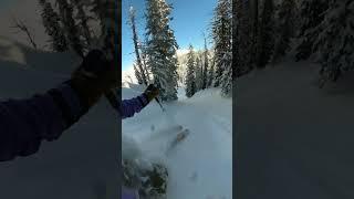 Crazy spines in the woods! #skiing