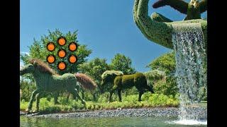 art garden escape video walkthrough