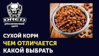 Сухой корм для собак | Классификация кормов | Чем один сухой корм отличается от другого