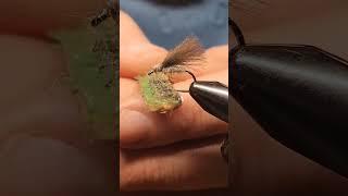 Easy as Sedge. #flytying #flyfish #fish