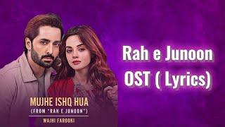 Mujhe Ishq Hua (Rah e Junoon) OST Lyrics- Wajhi Farooki | Komal Meer |Danish Taimoor |MSA LYRICS HUB