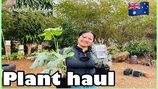 My plant haul from Little Trix with Cindy//Cheche Lañojan