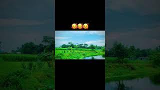 Nice vew
