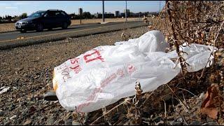 California Gov. Gavin Newsom signs law banning all plastic shopping bags at grocery stores