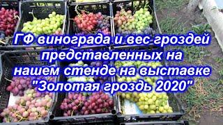 ГФ винограда и вес гроздей представленных на выставке "Золотая гроздь Украины 2020".