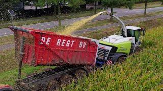 Mais hakselen | Chopping corn | Maishäckseln | CLAAS | Case IH | Beco | Fendt | Kaweco | Maisoogst